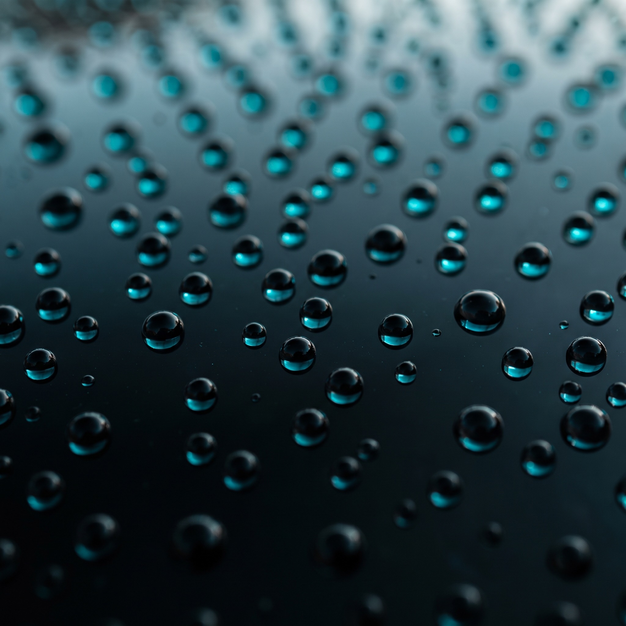Tight water beads across a coated hood